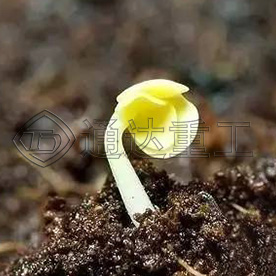 牛糞有機(jī)肥的魔力