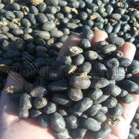 黃金搭檔——羊糞生物有機(jī)肥與土壤